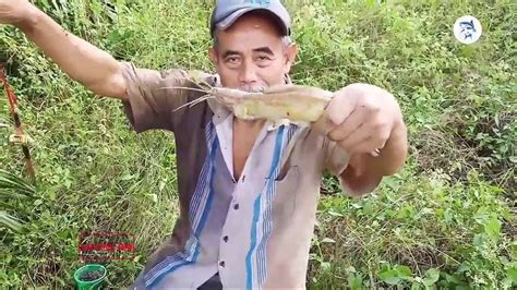 fish xvideo|fishing videos .